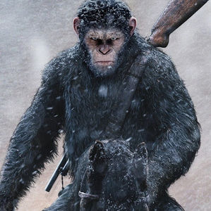 Meet your Posher, Garyl